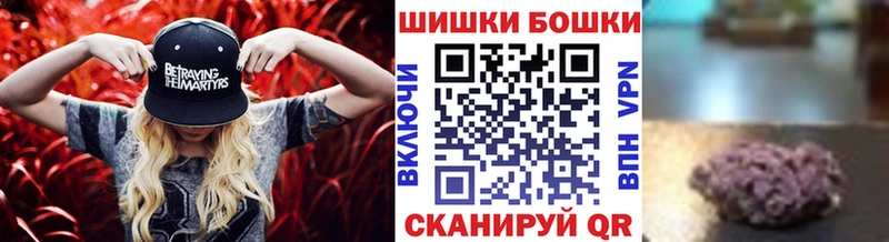 купить Элиста Канабис семена